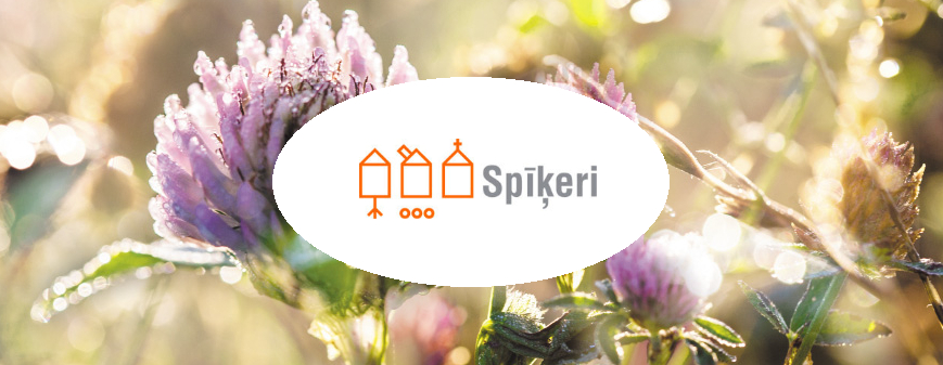 Spīķeri