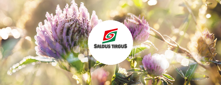 Saldus tirgus