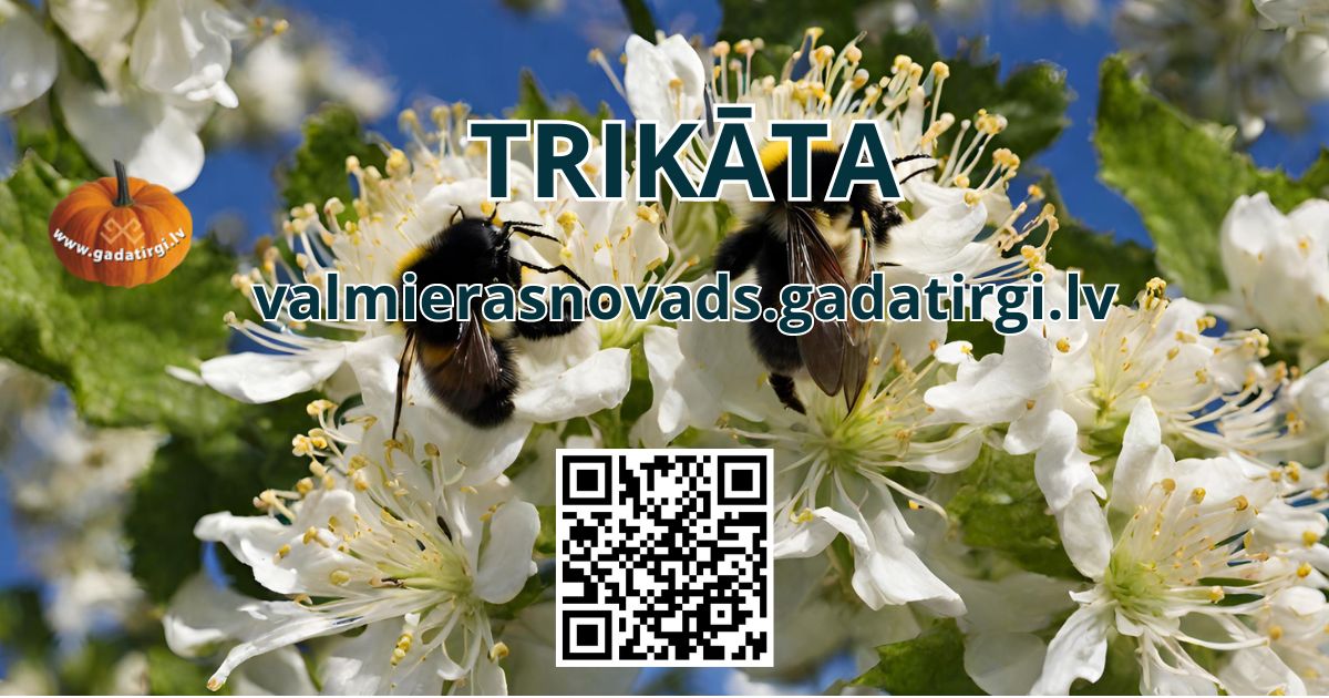 Ķēniņa Tālivalža svētku tirgus