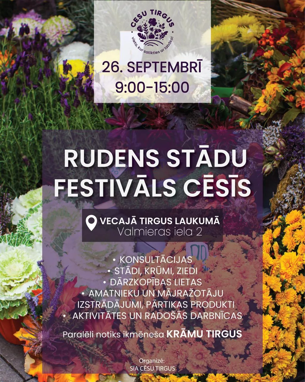 RUDENS STĀDU FESTIVĀLS CĒSU TIRGŪ