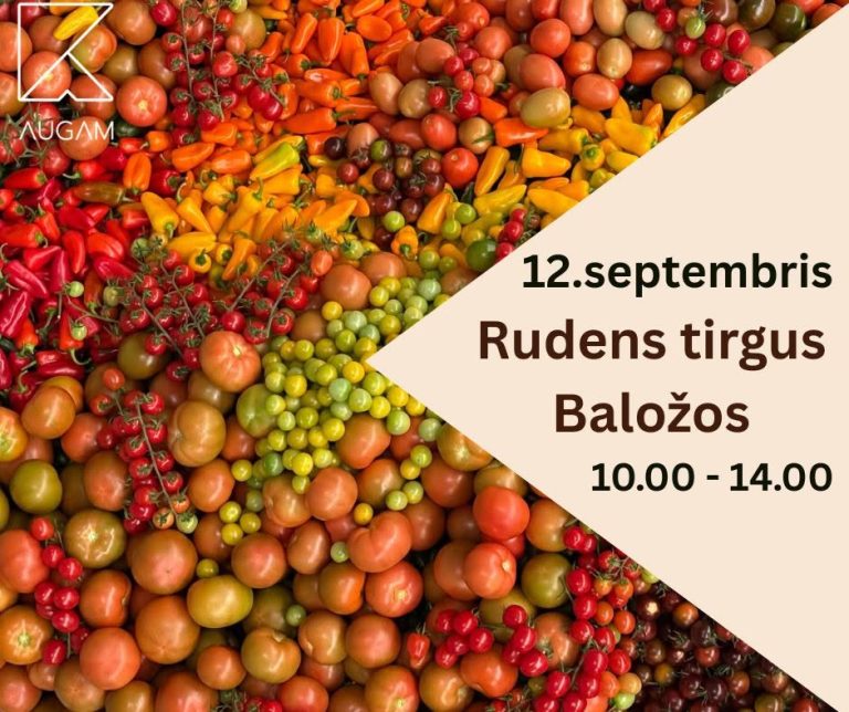 Rudens tirgus